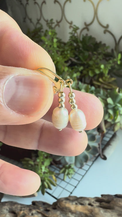 the Amelia Fresh Water Pearl Earrings